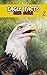 Eagle Facts by Nicholas Garner