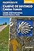 Camino de Santiago by Sandy Brown