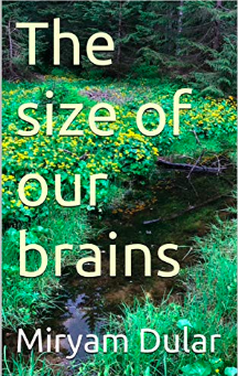 The Size of Our Brains