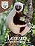 Lemurs: Junior Field Guide
