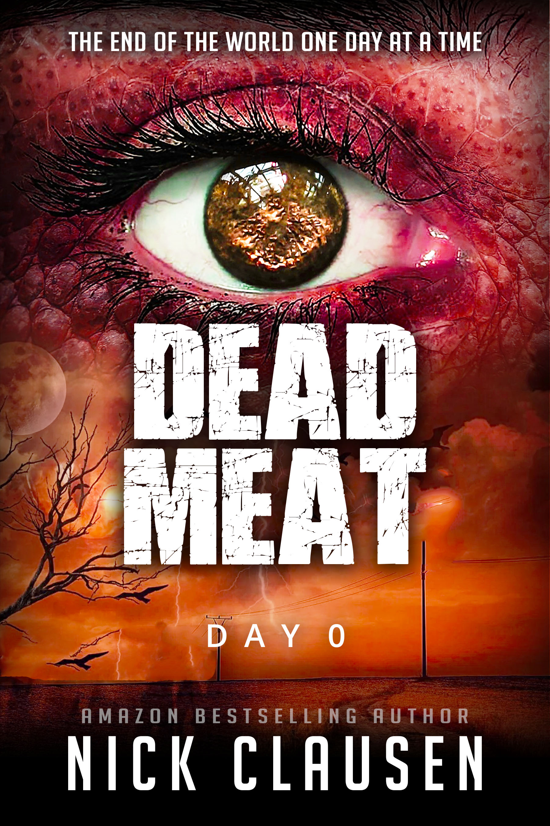Dead Meat: Day 0 (Dead Meat, #0)