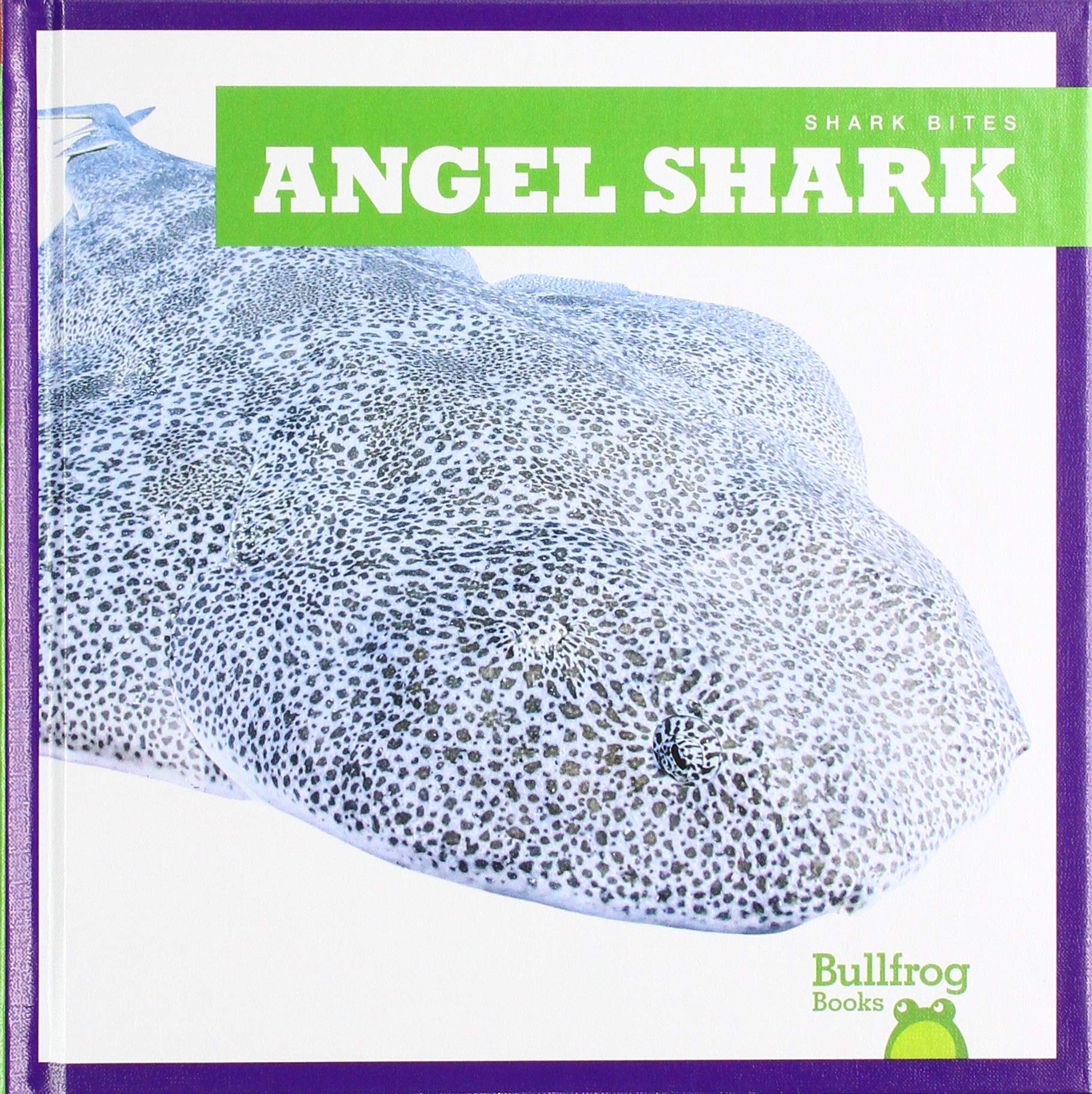 Angel Shark (ebook)