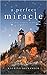 A Perfect Miracle (Jacobs Landing, #1)