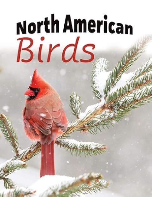North American Birds: Extra-Large Print With Names (For Adults with Dementia and Other Life Challenges)