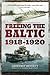 Freeing the Baltic, 1918–1920