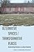 Alternative Spaces/Transformative Places (Frontiers in Political Communication)