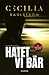 Hatet vi bär (Sara Vallén #4)