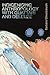 Indigenising Anthropology w...