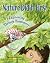 Nature Did It First by Karen Rohrich Ansberry