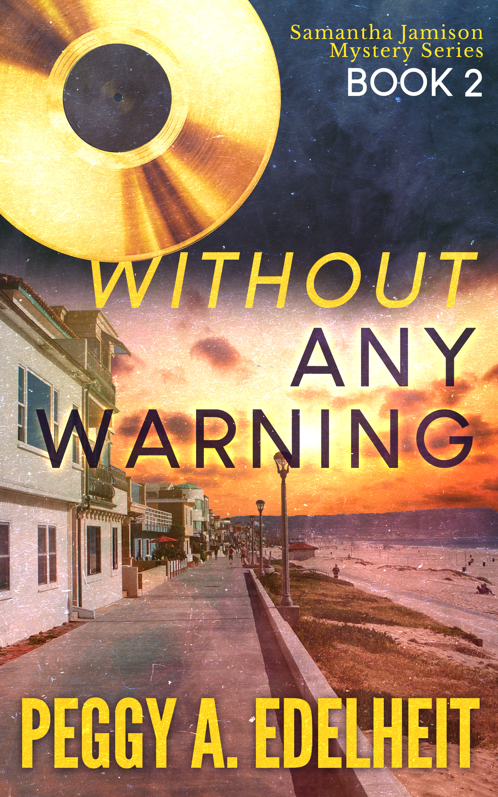 Without Any Warning (Samantha Jamison Mystery, #2)