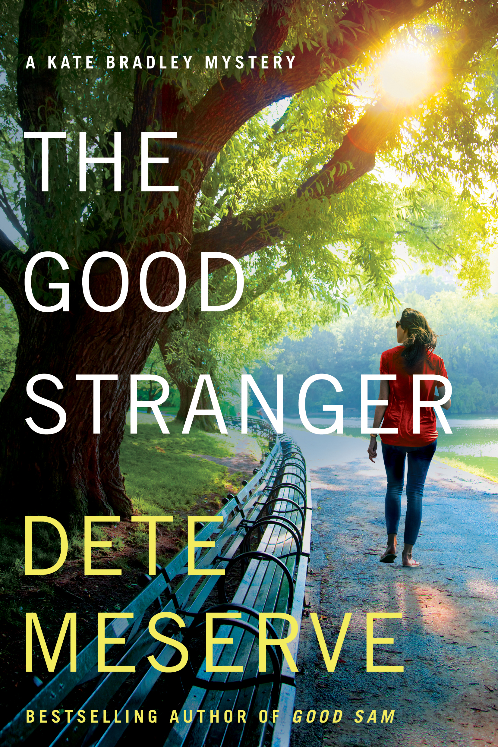 The Good Stranger (Kate Bradley Mystery, #3)