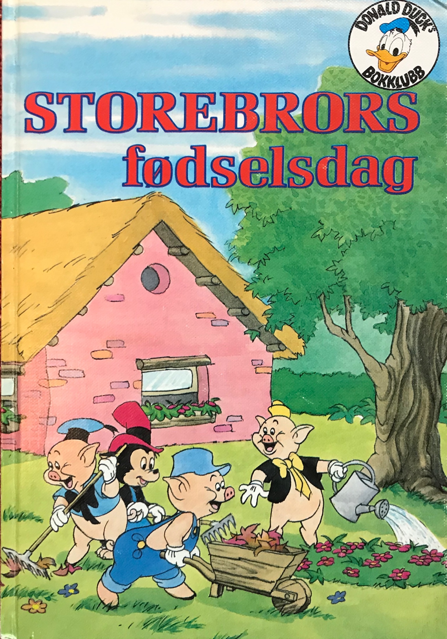 Storebrors fødselsdag (Hardcover)