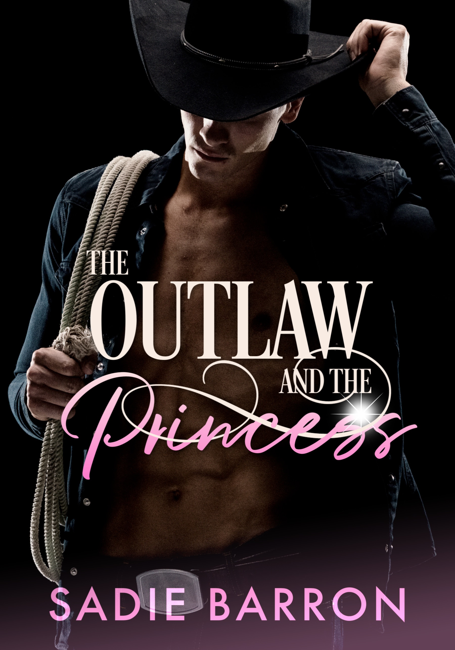 The Outlaw and the Princess (Unknown Binding)