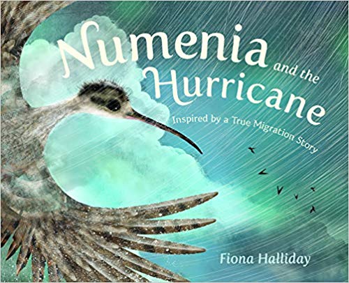 Numenia and the Hurricane: Inspired by a True Migration Story (Hardcover)
