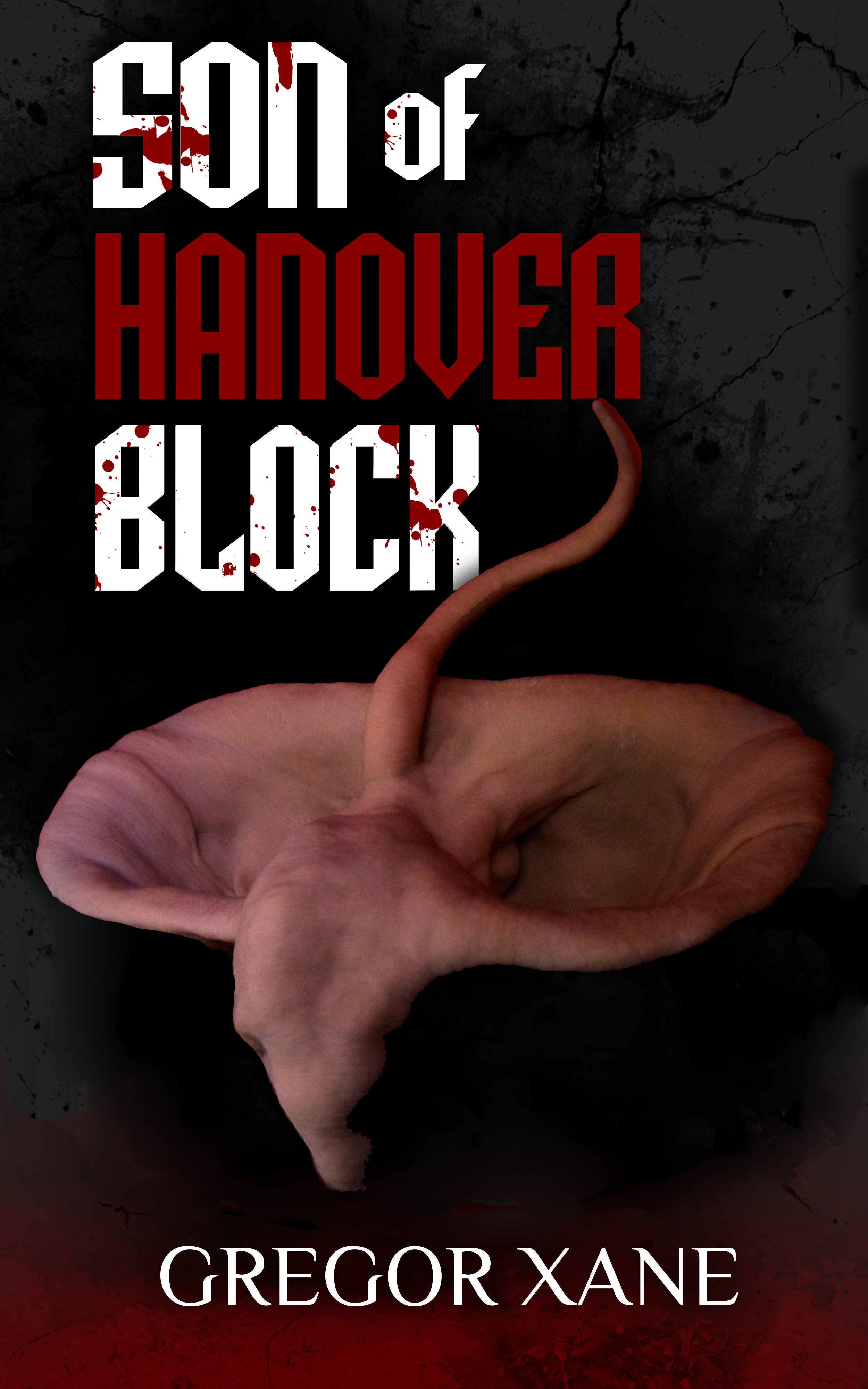 Son of Hanover Block (Paperback)