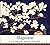 MAGNOLIAS - ENGLISH by Malati Shah