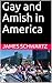 Gay and Amish in America by James Schwartz