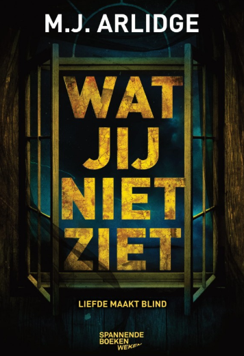 Wat jij niet ziet (Paperback)