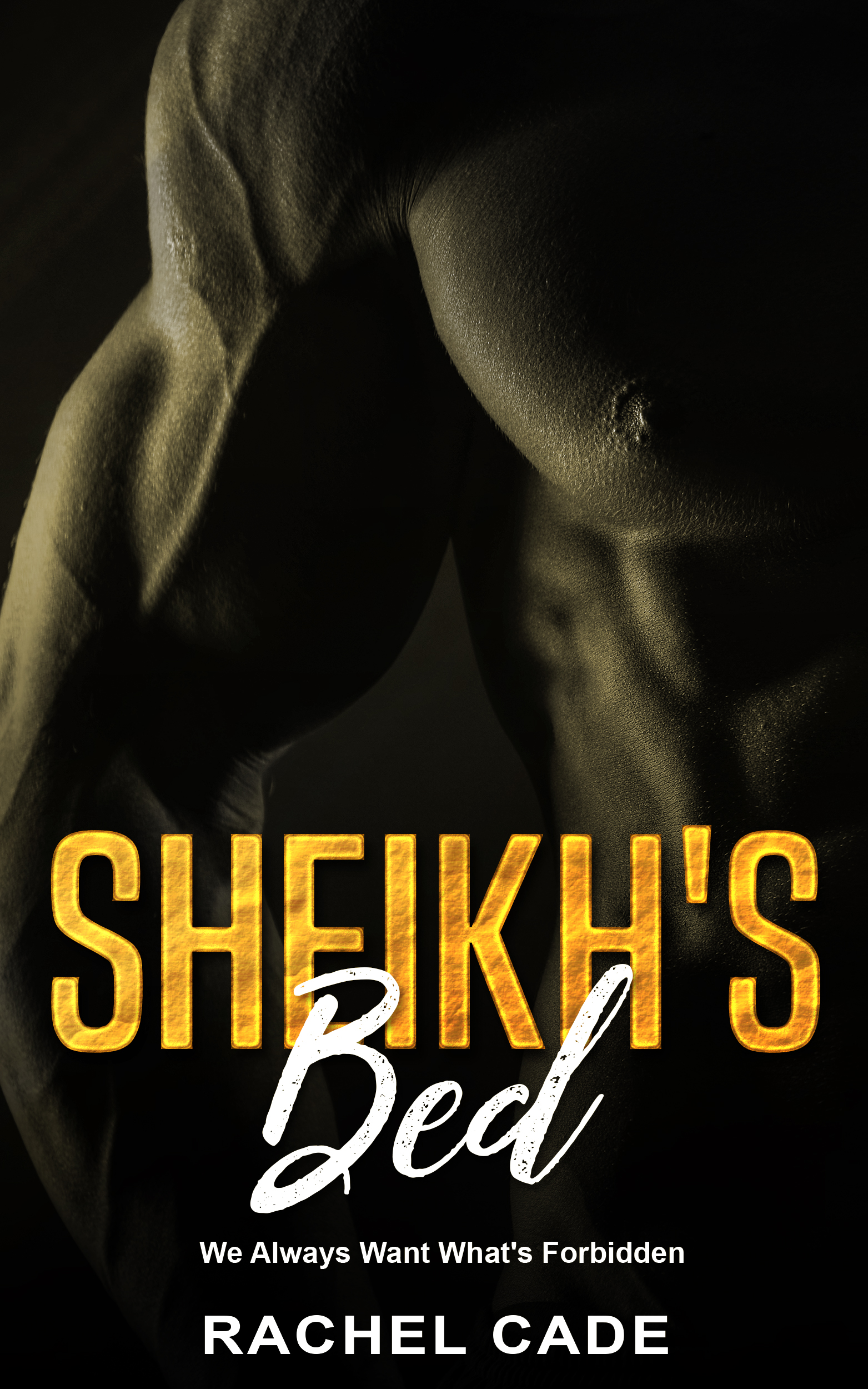 Sheikh's Bed (Kindle Edition)