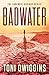 Badwater (Forensic Geology #2)