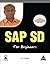 SAP SD for Beginners