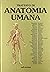 Trattato di Anatomia Umana - Volume Terzo