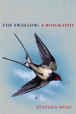 The Swallow: A Biography (Hardcover)