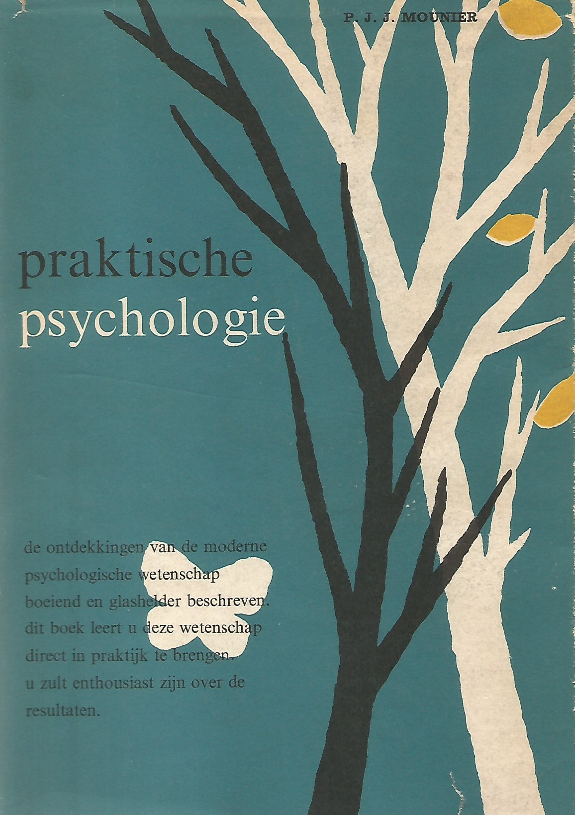 Praktische Psychologie (Hardcover)