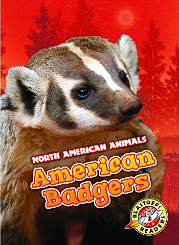 American Badgers (North American Animals)