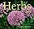 Herbs 2005