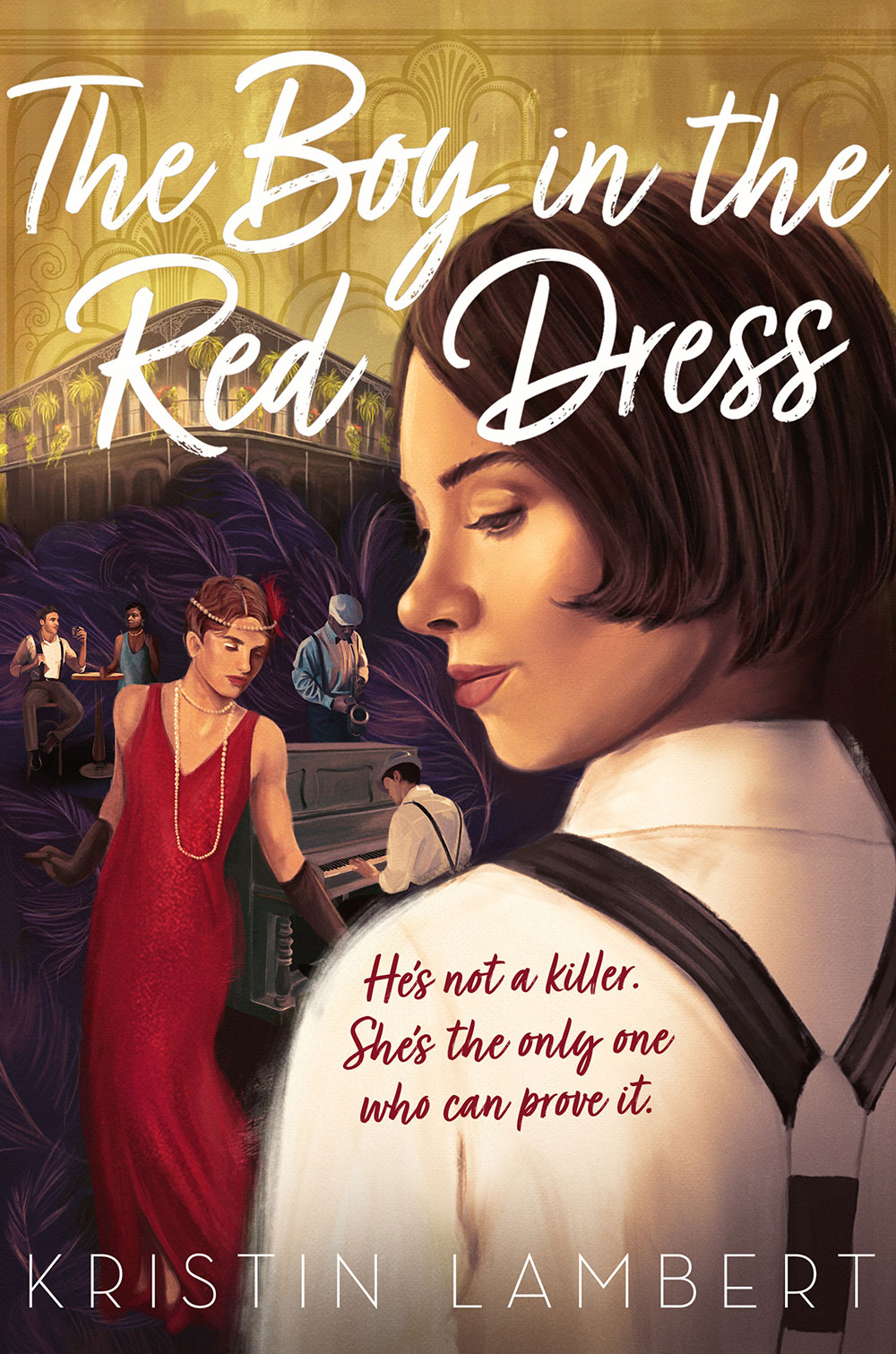 The Boy in the Red Dress (Hardcover)