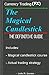 The Magical Candlestick