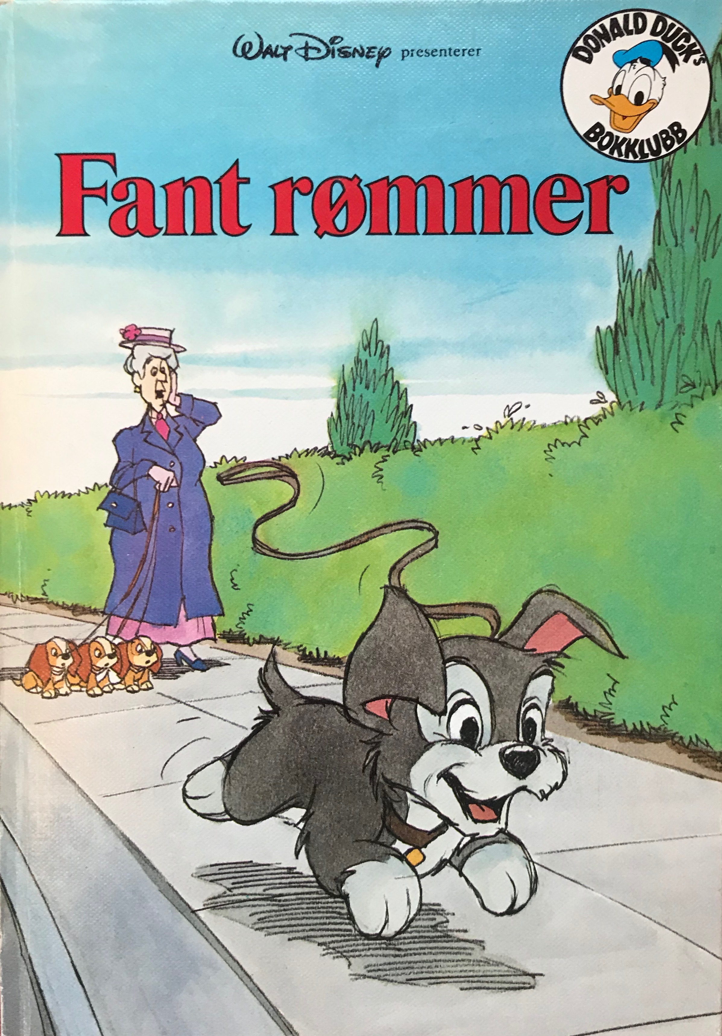 Fant rømmer (Hardcover)