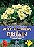 A Naturalist's Guide to Wild Flowers of Britain & Northern Eu... by Andrew Cleave