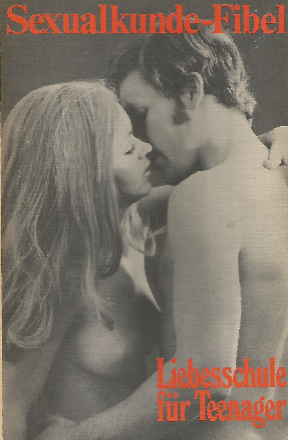Sexualkunde-Fibel: Liebesschule für Teenager (Softcover)