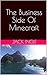 The Business Side Of Minecraft by Jack Ingle