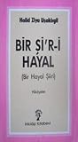 Bir Şi'r-i Hayal (Bir Hayal Şiiri)