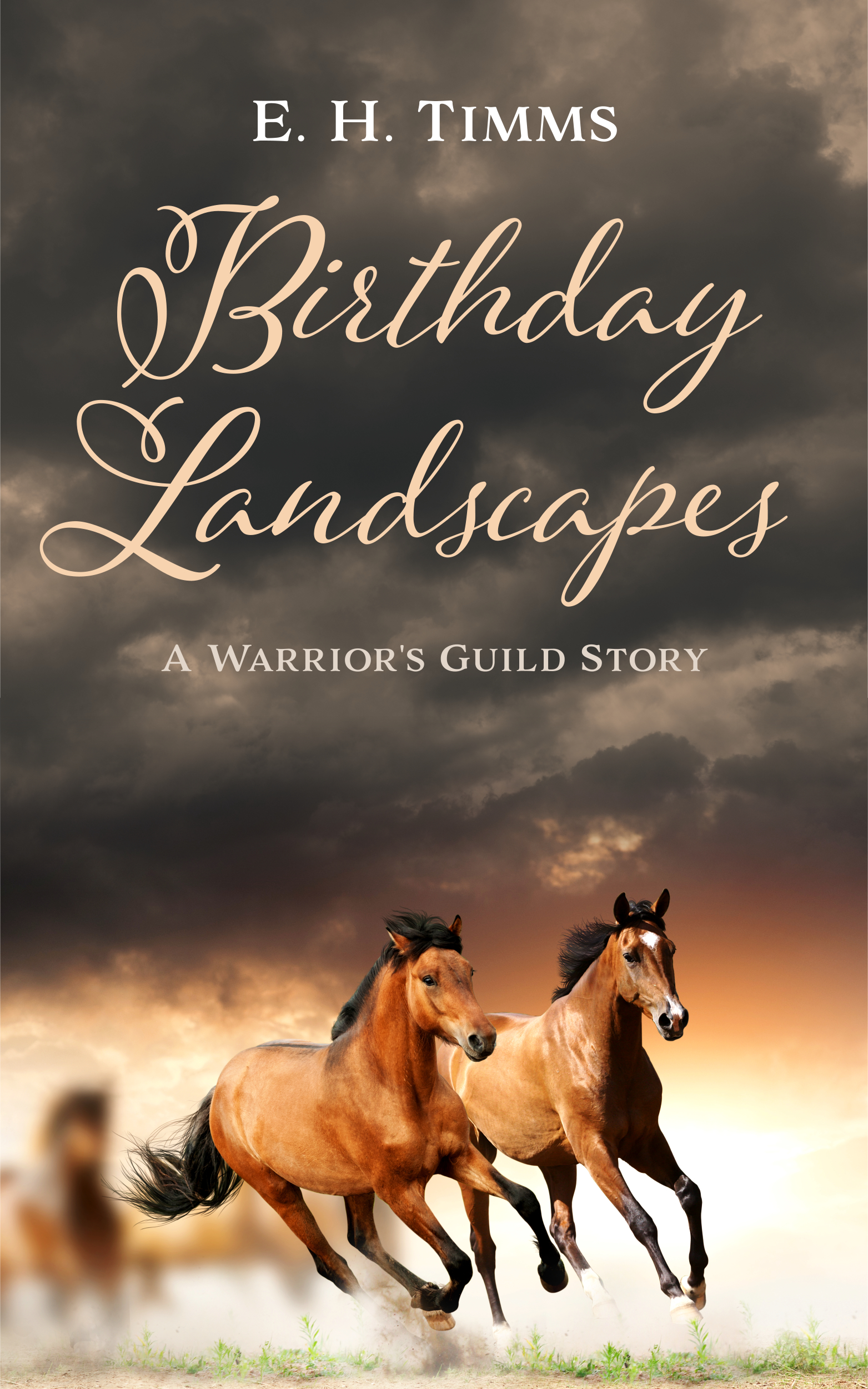 Birthday Landscapes (Guildverse, #2)