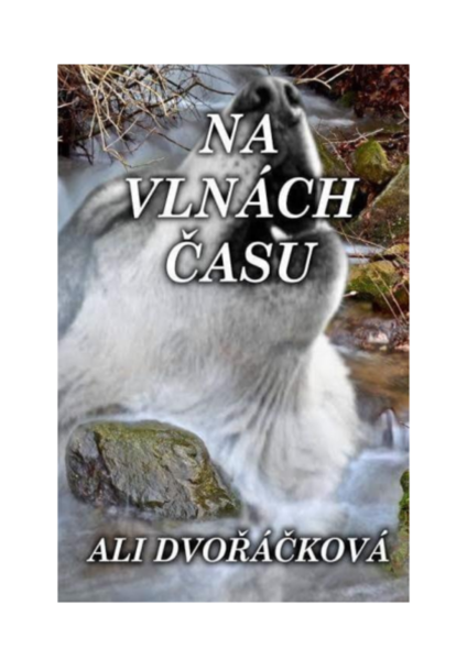 Na vlnách času (ebook)