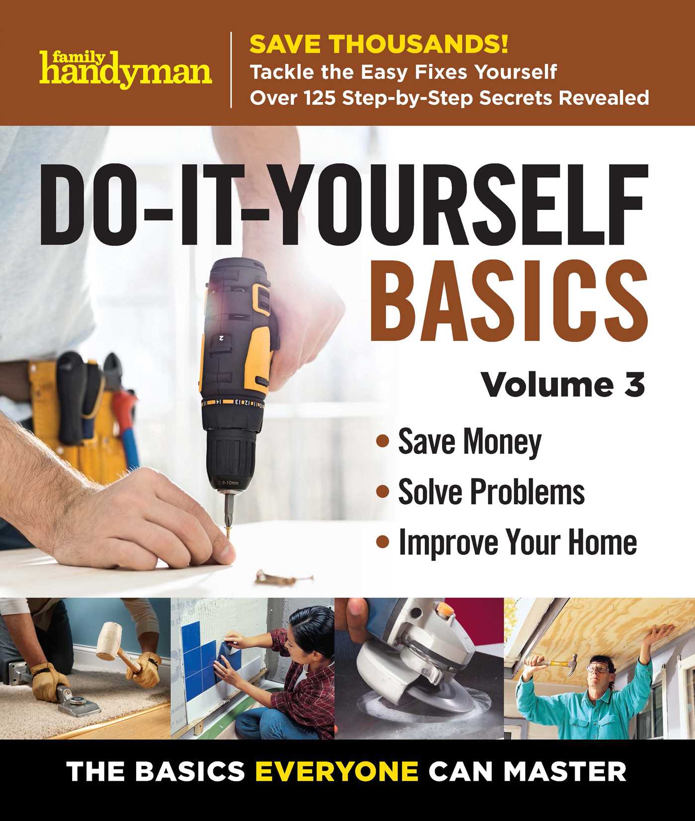 Family Handyman Do-It-Yourself Basics Vol.3 (Family Handyman DIY Basics)
