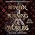 Between Burning Worlds