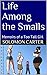Life Among the Smalls: Memo...