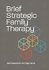Brief Strategic F...