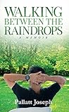 Walking between the Raindrops: A Memoir
