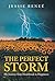 The Perfect Storm: My Journ...