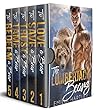 Lumberjack Bears Boxed Set: Books 1 - 5