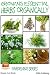 Growing Essential Herbs Organically