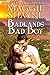 Badlands Bad Boy (The Texas Brands Book 3)