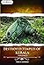Destroyed temples of Kerala...