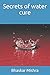 Secrets of water cure by Bhaskar Mishra